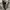 1990s Hysteric glamour M65 field jacket photo 10