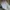 90s - Millitary Cargo Baggy Double Knee Multi Pocket photo 8