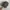 Realtree hat Team Realtree official leather photo 1