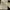 Off-White Y2K Sportswear Sweatpants & Joggers Pria black photo 4
