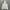 COMME des GARÇONS Streetwear Sportswear Hoody Pria gray photo 2