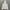 COMME Des GARÇONS Streetwear Sportswear Hoody Pria Gray