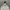 COMME des GARÇONS Streetwear Sportswear Hoody Pria gray photo 4