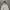 COMME des GARÇONS Streetwear Sportswear Hoody Pria gray photo 3