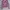 Lululemon Streetwear Sportswear Hoody Wanita Pink Black