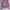 Lululemon Streetwear Sportswear Hoody Wanita pink black photo 1