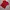 Polo Ralph Lauren Casual T-shirt Pria Red