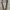 John galliano leather belt photo 3