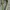 Y2K Snake skin studded leather belt photo 3