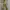 Y2K Snake skin gold studded leather belt photo 2