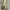 Y2K Skin snake leather belt photo 2