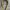 Y2K Skin snake leather belt photo 3