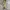 Y2K Skin snake leather belt photo 1