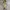 Y2K Skin Snake Leather Belt