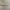 Y2K Skin snake leather belt photo 5