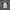Kaos Jersey Wilson Dinos Baseball Club photo 2