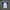 Kaos Jersey Wilson Dinos Baseball Club