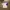 Adidas template jersey  photo 2