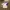 Adidas Template Jersey 