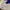 Adidas template jersey  photo 7