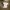 Adidas template jersey  photo 3