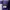 Jorts Canvas Purple by Scommessa photo 7