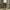 Camo Cargo Shortpants photo 2