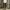 Camo Cargo Shortpants