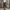Camo Cargo Shortpants photo 3