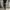 Camoflage Jorts Cargopants photo 3