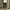 Realtree Jorts Cargopants photo 2