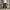 Realtree Jorts Cargopants photo 4