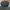 VINTAGE FLAT HEAD PENLETON WOOL photo 4