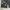 Baggy Camo Cargo Pants photo 7