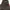vintage bucked head militage photo 1