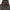 Vintage Bucked Head Militage