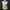 y2k manhoe tank top photo 2