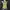 y2k batsu club tank top photo 2