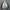 Windbreaker jacket adidas balok photo 1