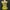 y2k nichee grunge tank top photo 2