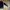 Loewe Luxury Casual Sweater Pria white black photo 3