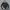 Windbreaker jacket kappa photo 1