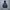 Windbreaker jacket nike aop photo 1