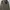 Jacket Parka Army Military M-65 Field Vintage Style ANDEW photo 3