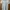 Adidas badge of sport flower tee t-shirt // Kaos adidas abu  photo 4