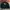 Carhartt WIP Rugged Letterman CorduroyJacket Discovery Green