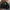 Carhartt WIP Rugged Letterman CorduroyJacket Discovery Green photo 2