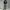 Carhartt WIP Rugged Letterman CorduroyJacket Discovery Green photo 5