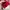 cardigan rajut sailor hs merah baru (-) photo 7