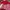 cardigan rajut sailor hs merah baru (-) photo 9